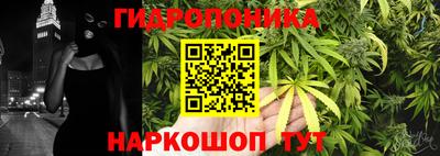 трава Партизанск