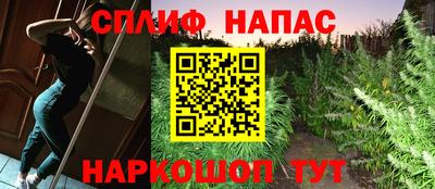 трава Партизанск