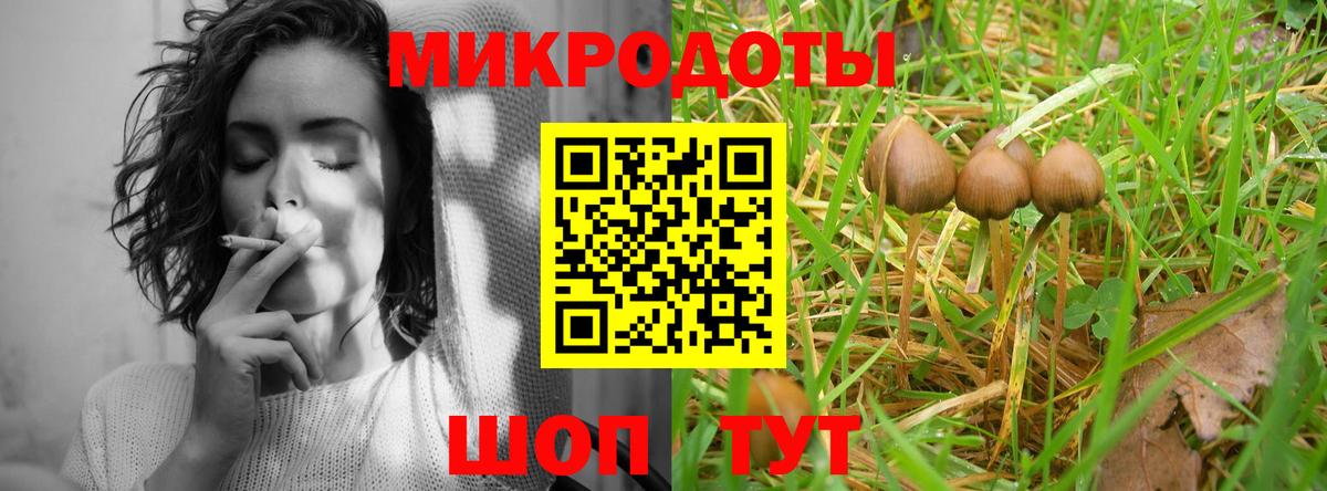 Псилоцибиновые грибы Cubensis Северобайкальск